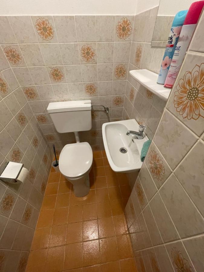 Ferienwohnung Maxi マイスホーフェン エクステリア 写真